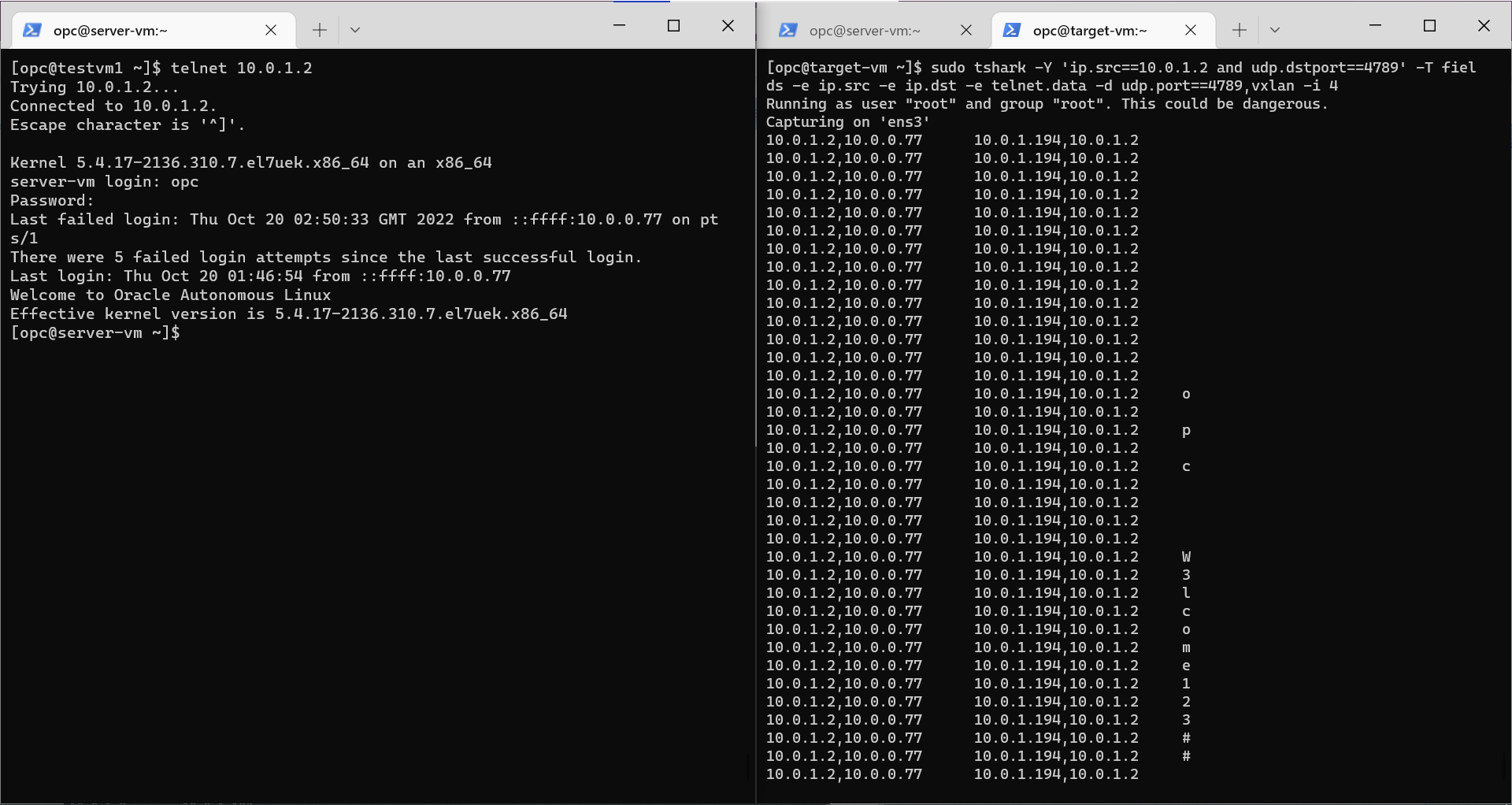 show-telnet-packets