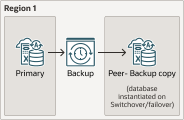 backup-based-dr-local