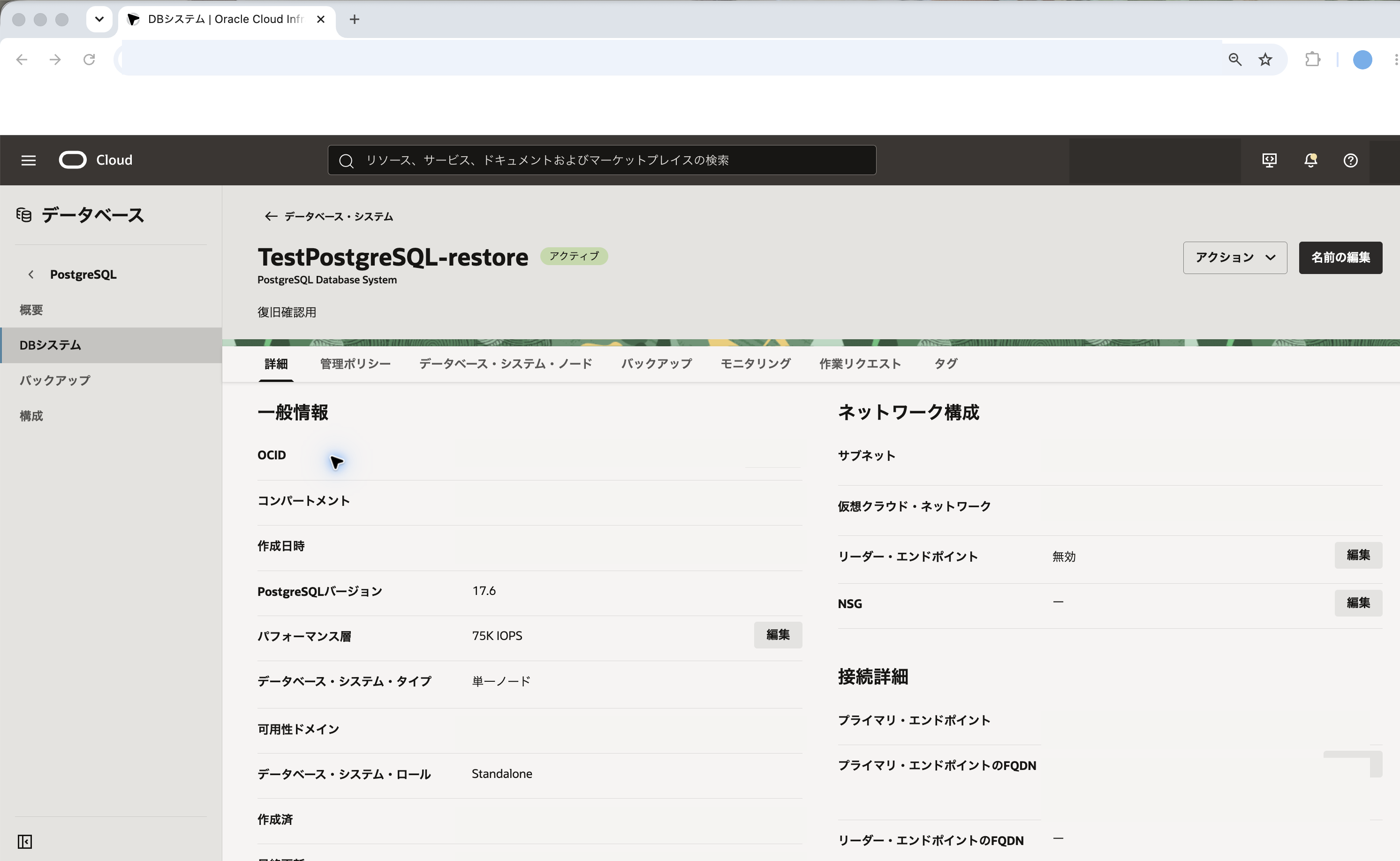 復旧先DBシステムの接続詳細