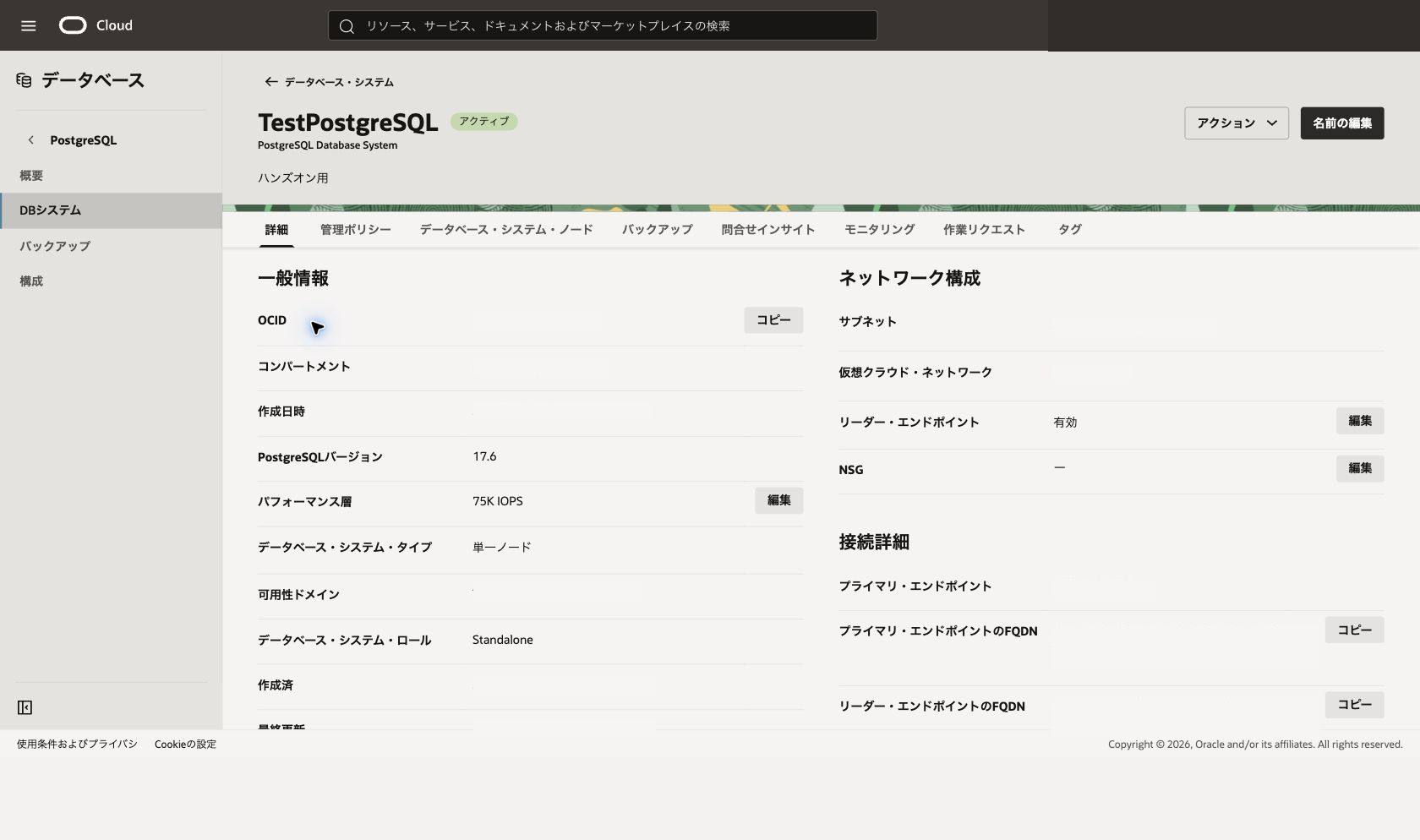 プライマリDBシステム詳細画面で状態、ネットワーク構成、接続詳細を確認する画面