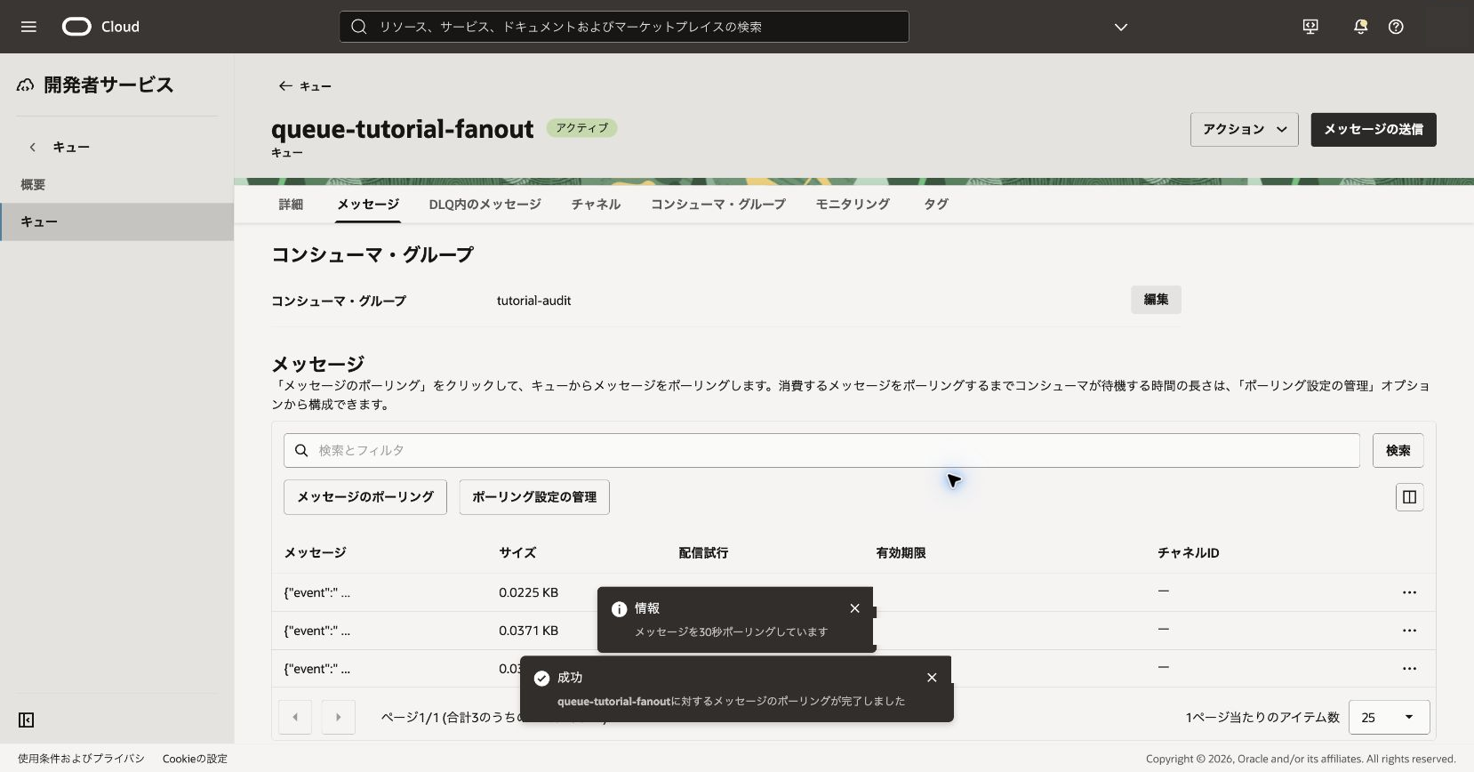 tutorial-auditでのメッセージ取得結果